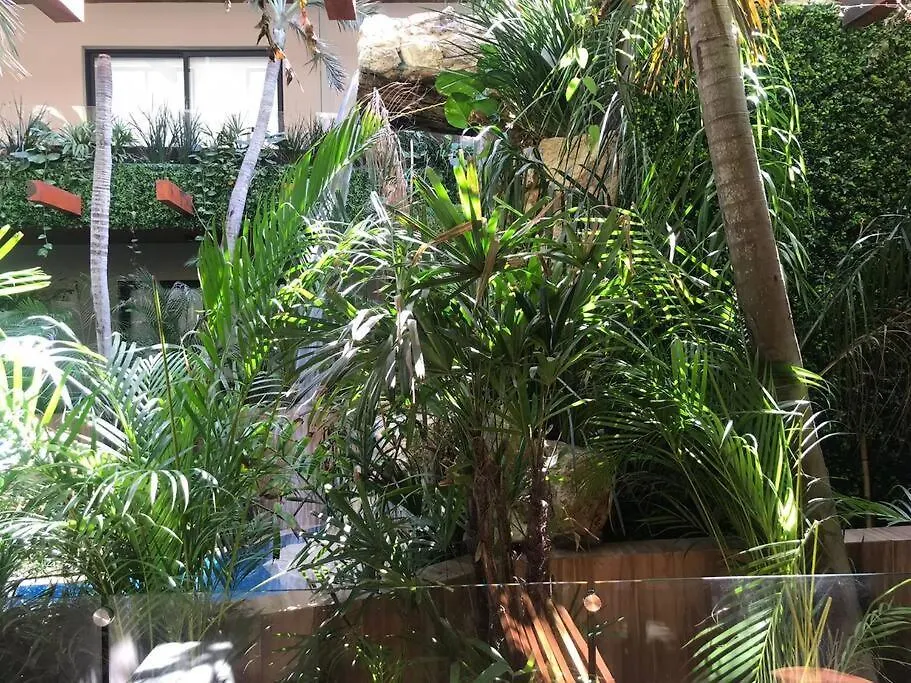 Apartment 218 Stylish Studio Delux Condo Fast Wifi Tulum